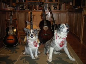 Smoky and Shyann with their Santa Cruz/Don Edwards bandanas guarding the Cruz guitars