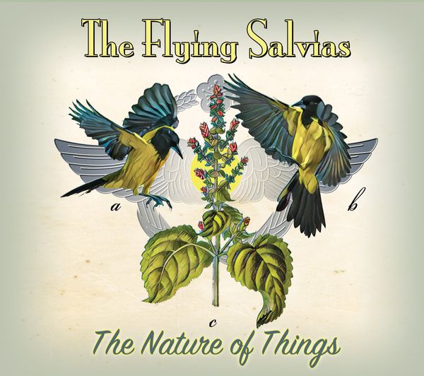 <DIV ALIGN="CENTER">The Nature of Things<BR>
<I>by The Flying Salvias</I><BR>
Get the music:<BR>
</DIV>
<A HREF="https://open.spotify.com/artist/5DBejTW2Bsf8jNvNcUP4vB">Spotify</A>&nbsp;&nbsp;
<A HREF="https://itunes.apple.com/us/album/the-nature-of-things/id1275919198">iTunes</A>&nbsp;&nbsp;
<A HREF="https://www.amazon.com/gp/product/B075GWC9SF/ref=dm_ws_sp_ps_dp">Amazon</A>&nbsp;&nbsp;<A HREF="https://store.cdbaby.com/cd/theflyingsalvias">CD Baby</A>