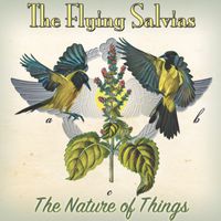 The Nature of Things by Flying Salvias