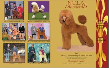 NOLA's PV Color Issue
