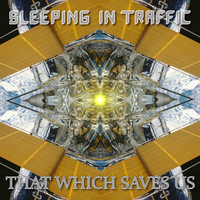 That Which Saves Us by Sleeping In Traffic