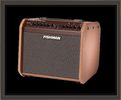 Fishman Loudbox Mini Charge - Rechargeable Battery Powered Acoustic Amplifier