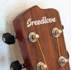 Breedlove Wildwood Organic Series - Concerto w\Electronics - Mahogany