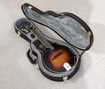 The Loar LM-600E  F-Style Electric Mandolin - All Solid & Hand Carved W\Case