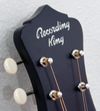 Recording King ROS-9 FE5-TS  Solid Top - Acoustic Electric Guitar