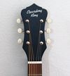 Recording King ROS-9 FE5-TS  Solid Top - Acoustic Electric Guitar