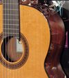 Cordoba C5 Nylon String Acoustic Guitar w\Cordoba Gig Bag