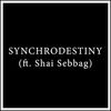 SynchroDestiny (ft. Shai Sebbag) TABS