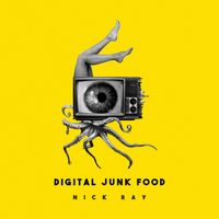 Digital Junk Food by Nick Ray