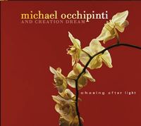 Released in 2007, the JUNO nominated Chasing After Light showcases the range of Michael Occhipinti's original jazz writing, with great melodies, compelling song forms, and a array of guitar sounds.