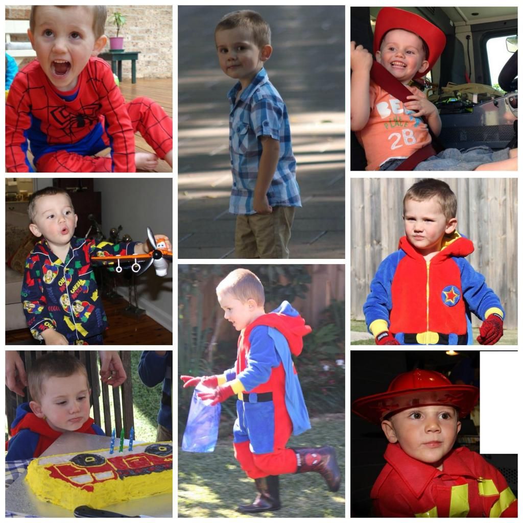 Disappearance of William Tyrrell /// 202 /// 203