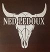 Ned LeDoux Vinyl Decal