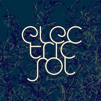 Electric Sol: CD
