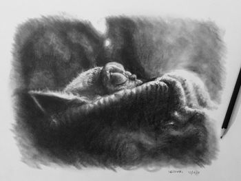 Grogu (Baby Yoda), graphite
