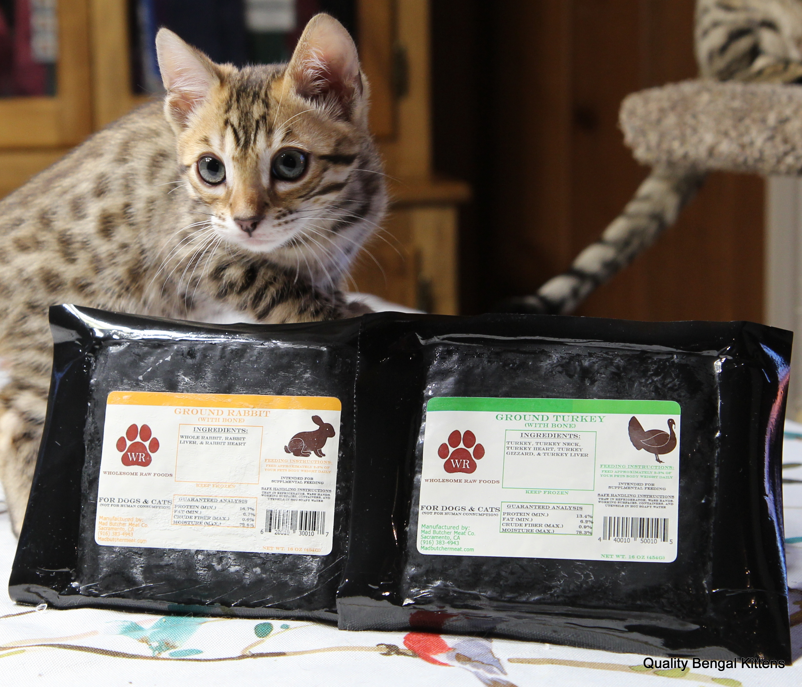 ground bone for cats