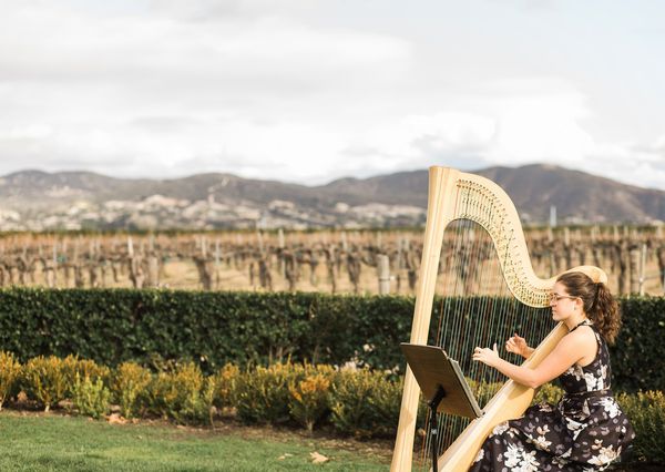 Ponte Winery Wedding, Temecula, CA