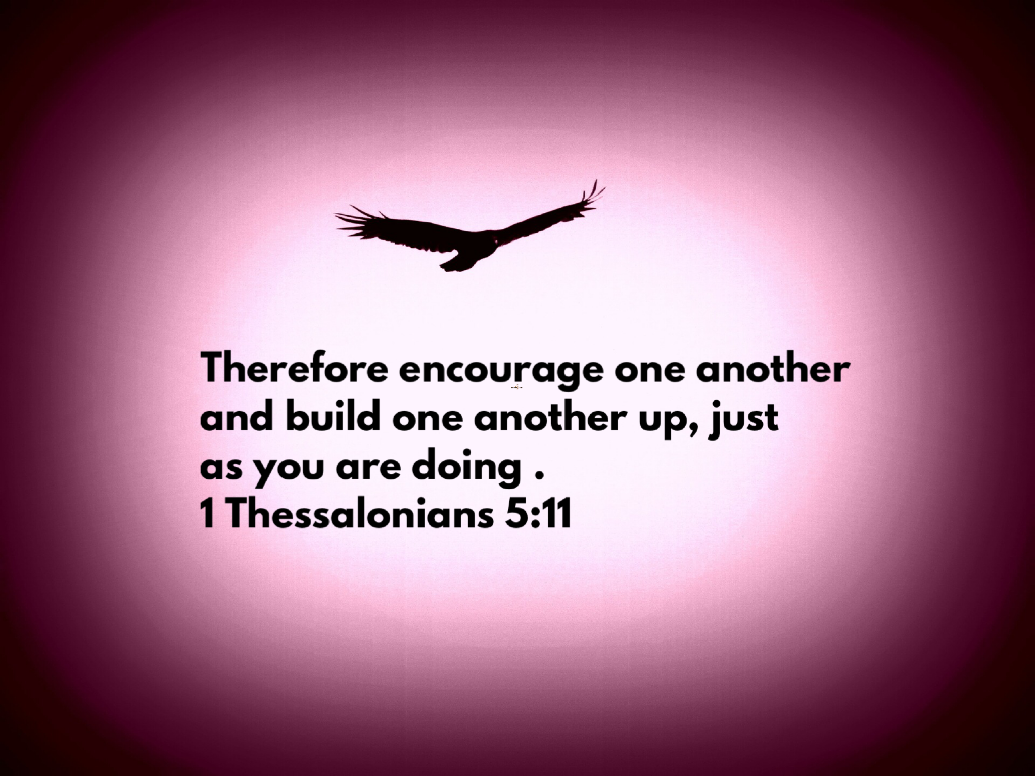 encourage one another and build each other up