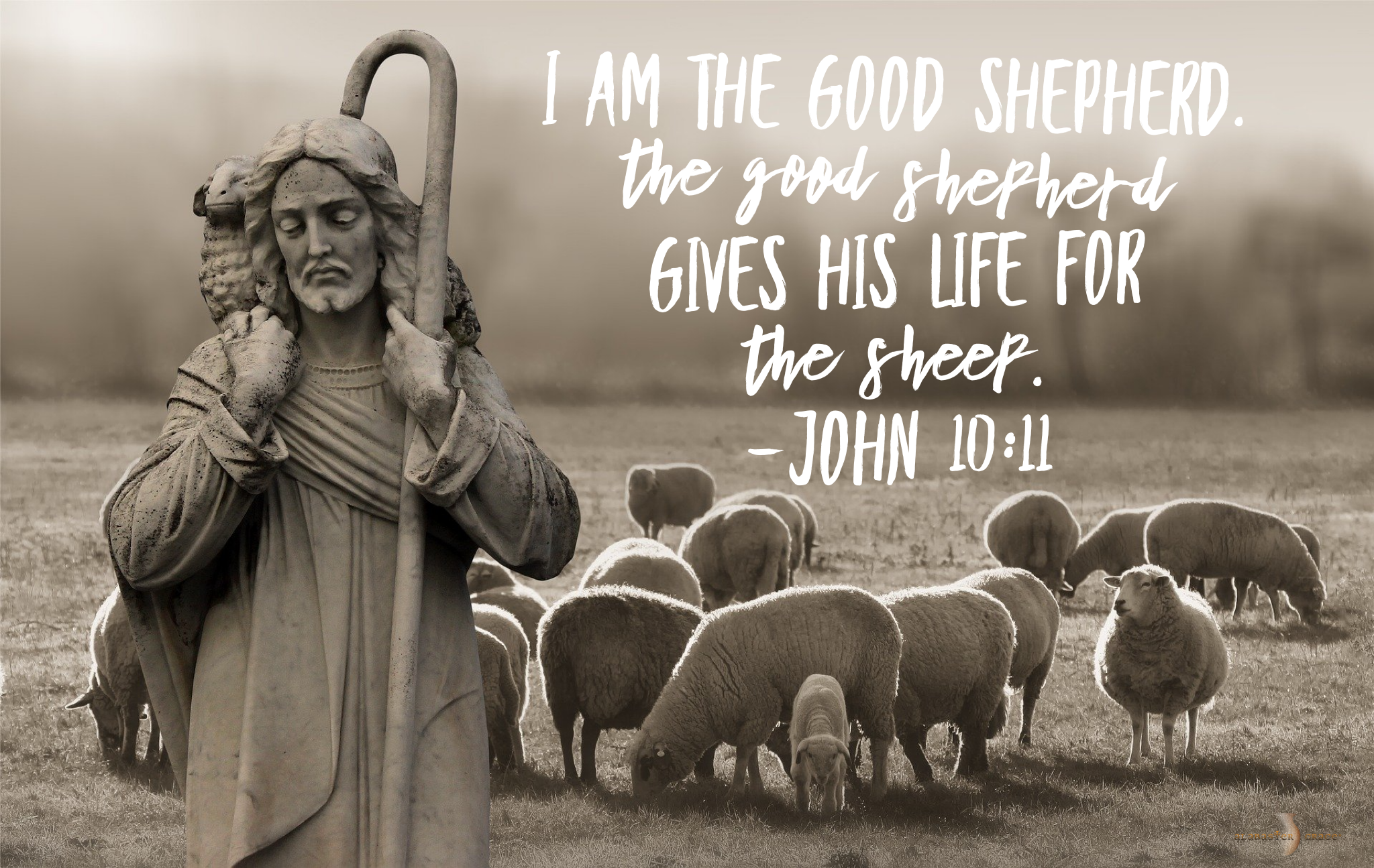 are jesus as the good shepherd of the sheep