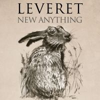 New Anything by Leveret
