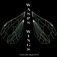 Wasps Wings by Taylor Skelton