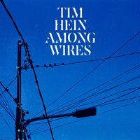 Among Wires by  Tim Hein