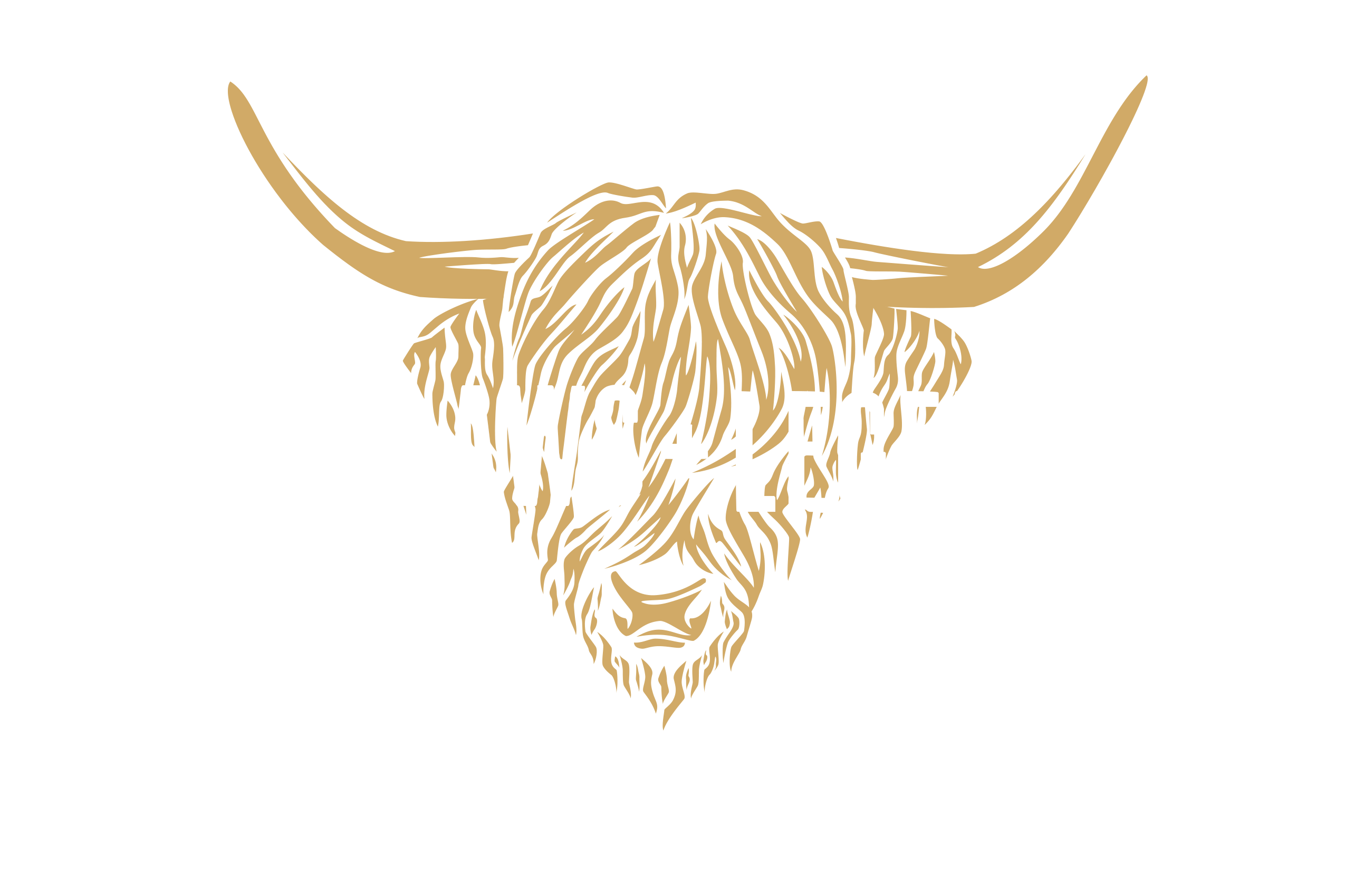 Outlaws & Legends Music Festival