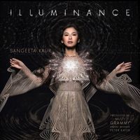 ILLUMINANCE (2020) by Sangeeta Kaur