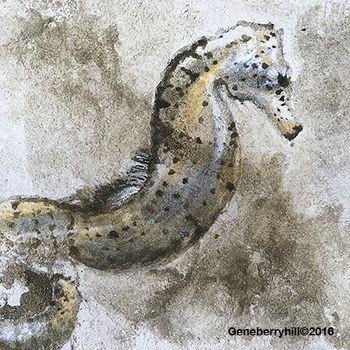 Fresco "Cave art"-made in Hawaii-seahorse
