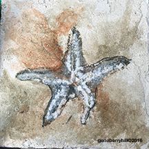 Fresco "Cave art"-made in Hawaii-starfish
