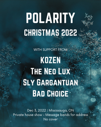 Polarity Christmas 2022