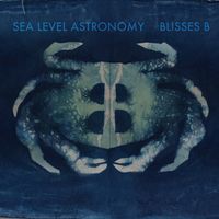 People have told me that my project Blisses B remind them of the Minutemen and New Order. I don't know if that's true but it's a huge complement. "Sea Level Astronomy" was super fun to make because I really got to experiment with some cool pedals like envelope filters, octavers, reverbs, and distortion. I hope you like it!