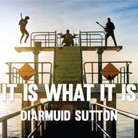 IT IS WHAT IT IS by Diarmuid Sutton