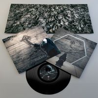 Diestractions from the truth: Vinyl