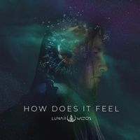 How Does It Feel by Lunar Woods