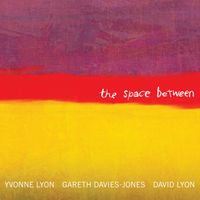 The Space Between by Gareth Davies-Jones, Yvonne Lyon, David Lyon