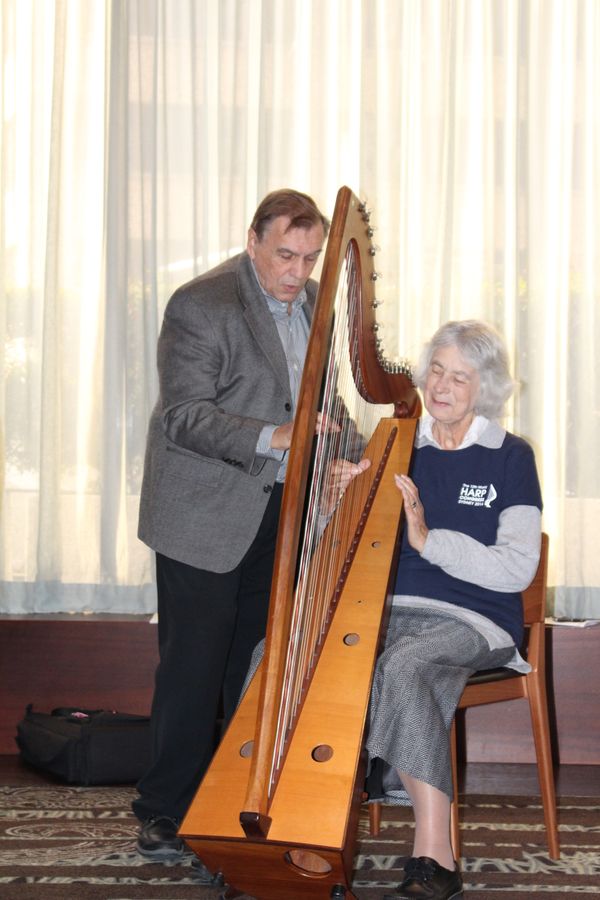 Private Lessons for pedal, lever and folk harpists.

