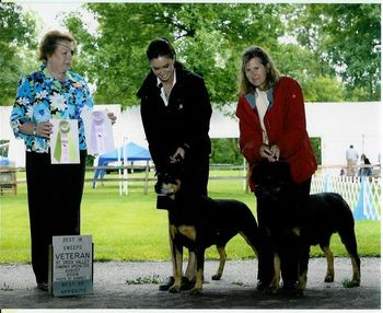 CH Phantom Wood Der Baron CD TDX RA winning Best in Veteran Sweeps (on L) and CH Phantom Wood Faith TDX RN winning Best of Opposite Sex in Veteran Sweeps. Baron and Faith were handled by Jackie and Terri Steinmetz to these exciting wins. Faith and Baron are owned by me.
