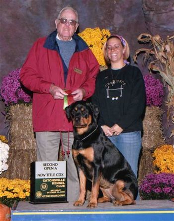 Starun's Electra Rising v. Corydon CD NA NAJ HT PT (Ella) showing winning second place and her new CDX title with owner Chris Culhane. Ella is a Corydon daughter and was under 18 mo. old for this win.
