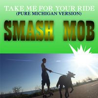 PURE MICHIGAN version of Take Me For Your Ride by Smash Mob