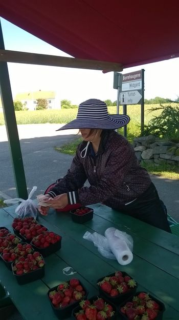 Selling strawberries. Norway
