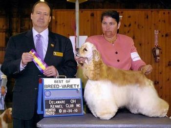 "Ripley". Sire: Ch. Silverpine Beyond Obsession Dam: Ch. Kenwood's Pieces of a Dream. "Ripley" is litter sister to Ch. Kenwood's Invictus. Finished from the puppy classes.
