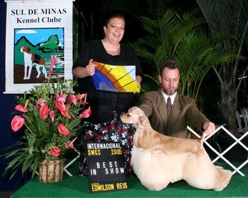Argentinian, Brazilian, Caribbean, World and Great Champion. "Donald" was Best of Breed at the World Show in Argentina in 2005. "The Donald" now has over 62 all breed Best in Shows and is the NUMBER ONE DOG 2006 - all breeds in Brazil. The "Donald" is sired by Ch. Kenwoods Incognito AOM and out of Ch. Kenwood N' Mystic's Red Hot. The "Donald" is owned by Sonia Santiago of Silverpine Kennel in Brazil. He is most capably handled by Daniel Beloff.
