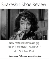 Snakeskin Shoe Review at Purple Orange