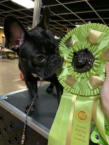 Cora likes here pretty sweepstakes ribbon

