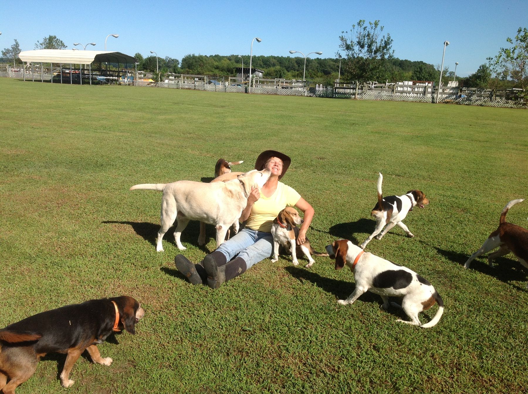 Family Dog Club Fatal Foods