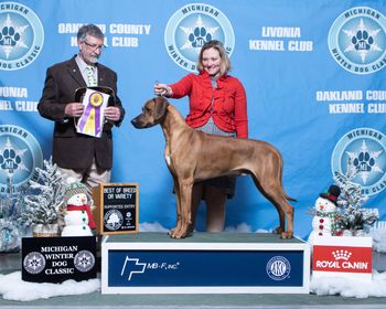 Best of Breed, Supported show
