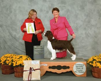 BISSw English Springer Spaniel Club of Greater Des Moines
