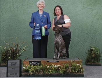 GSPCA Supporting Specialty 2016 Rally Novice A First Place
