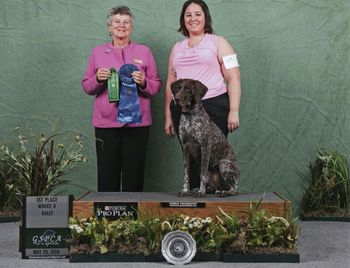 GSPCA National Specialty 2016 Rally Novice A First Place
