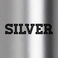 Silver Level